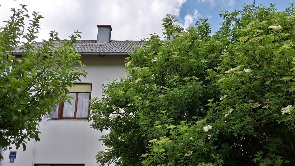 House Petkovic Korenica Exterior photo