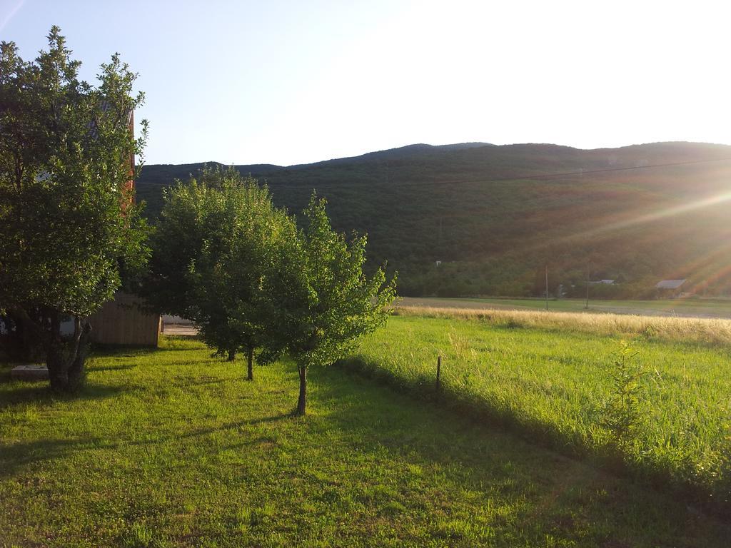 House Petkovic Korenica Exterior photo